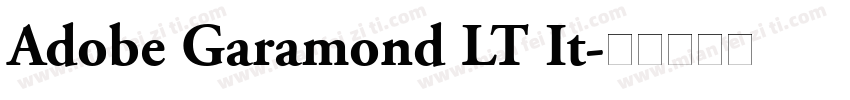 Adobe Garamond LT It字体转换